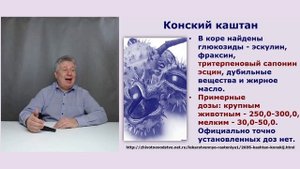 L-лизина эсцинат и корм для свиней.