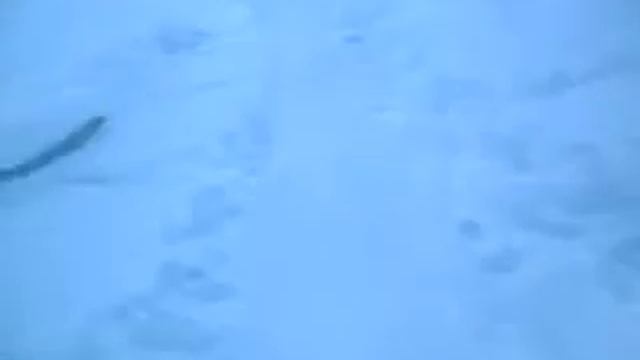 Look!! смотреть онлайн