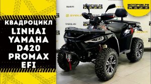 Квадроцикл Linhai-Yamaha D420 PROMAX EFI в черном цвете