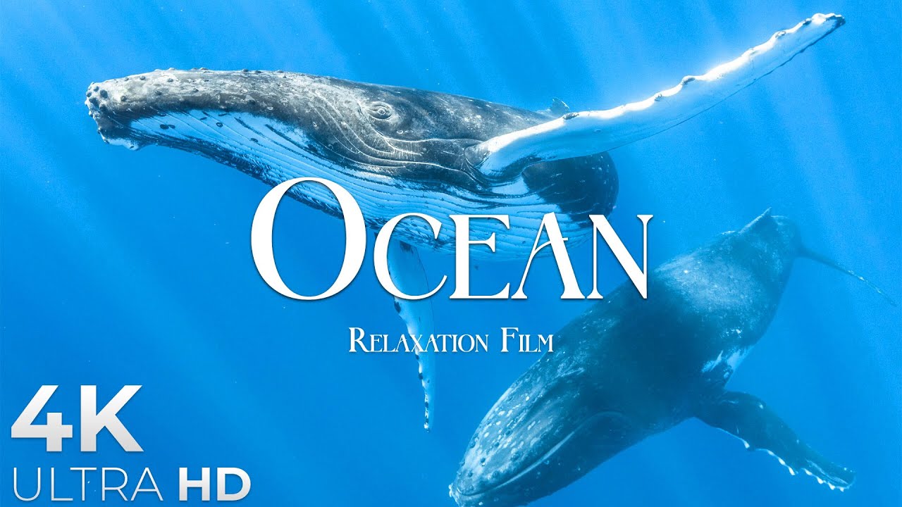 Океан - Расслабляющая музыка и красивые виды Full HD
