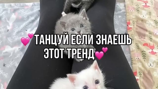 ❤️?Танцуй если знаешь этот новый тренд тик-ток тренды 2023 года❤️?