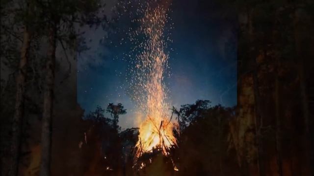 Лес - наше богатство. смотреть онлайн