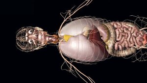 Видео-отзыв об обучении в России от студента из Марокко