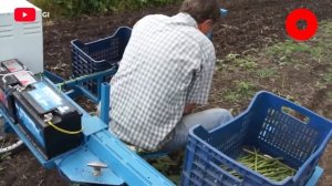 This Farmer Invented a Homemade Farming Machine - Incredible Ingenious Agriculture Inventions