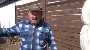 Как укрыть на зиму агроволокном :  хурму и ... Советы агронома.