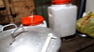 Заготовка папоротника "Орляк" на зиму.
