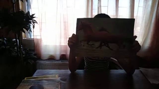 Картинки и рассказ о лошадях смотреть онлайн