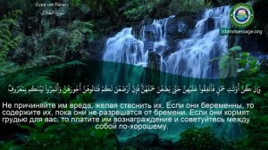 65. _Сура_ ❤️Ат-Талак❤️ Мишари Рашид