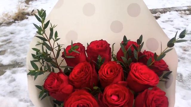 Букет из 11 красных роз с эвкалиптом смотреть онлайн