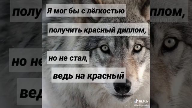 Красный диплом смотреть онлайн