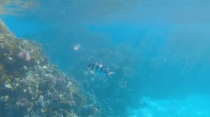 Египет 2022 - 10 Лучших Отелей Хургада Шарм Эль Шейх Отдых в Египте.mp4