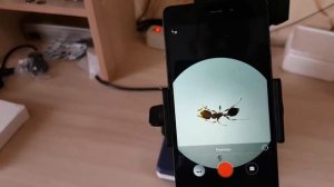 Установка смартфона на микроскоп