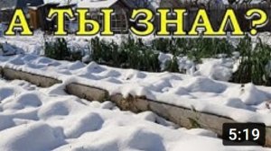 Зима на даче: что нужно сделать в ДЕКАБРЕ?❄❄❄