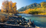 Релакс рай Японии, один час на природе под шум воды и щебетание птиц✦ релакс ✦ relax