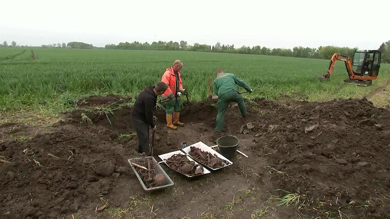 В Германии обнаружили еще одно захоронение советских солдат