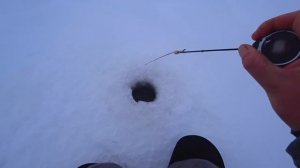 ЖМЁТ КИВОК в ЗАТОПЛЕННЫХ ПЕНЬКАХ! Безмотылка на Волге! Рыбалка на судака и окуня на Чебоксарке!