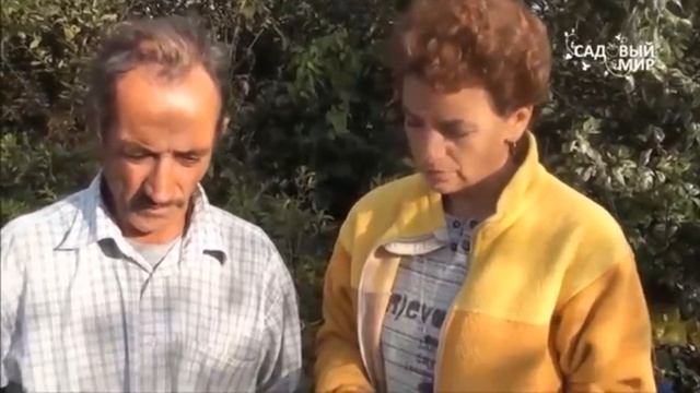 ЛУЧШИЙ САДОВЫЙ ИНВЕНТАРЬ | САДОВЫЙ ИНСТРУМЕНТ ДЛЯ ДОМА И ДАЧИ.