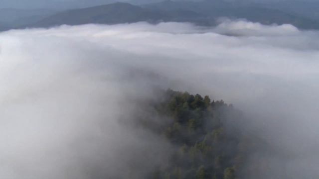 Planet Earth - Ice and snow (1080p HD) смотреть онлайн