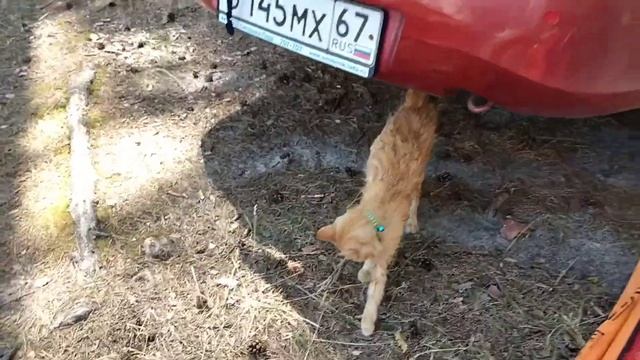 Озеро Днико 16 07 2021