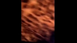 К МЕЛСТРОЮ ПРИЕХАЛА ПОЛИЦИЯ И СКОРАЯ ПОСЛЕ ИЗБИЕНИЯ ДЕВУШКИ