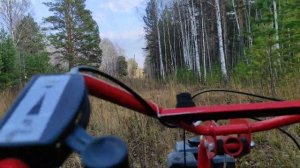 Мотоблок Агат по заросшей ЛЭП. Проверяем проходимость с пустой телегой.