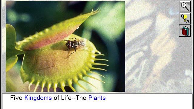Biology: The Five Kingdoms of Life: The Plants