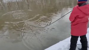 Магнитная рыбалка в Свиблово, первый серьезный улов. 03.04.2022