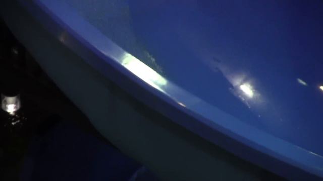 Ква-ква парк в Москве смотреть онлайн