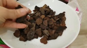 ОРХИДЕИ сажаю в ОРХИАТА. Получение и распаковка. РЕЗУЛЬТАТЫ посадки. орхидея фаленопсис