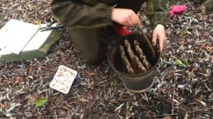 КОПЧЁНАЯ БАРАБУЛЯ КАК НА МОРЕ! ГОРЯЧЕЕ КОПЧЕНИЕ В ВЕДРЕ!