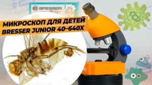 Детский микроскоп Bresser Junior 40–640x Обзор и тест