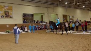 Первенство МО по вольтижировке