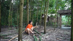 Survival alone, rescue the dog, life from nature, wild beauty off grid