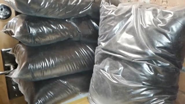 Биогумус, созданный червями дендробена. Небольшой обзор биогумуса смотреть онлайн