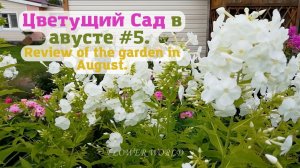 Цветущий Сад в августе #5  (обзор сада).?review of the garden in August.?