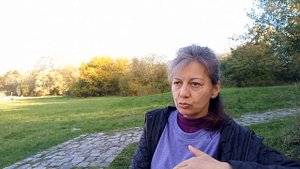 Что такое Система Целостного Движения