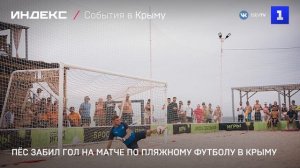 Пёс забил гол на матче по пляжному футболу в Крыму