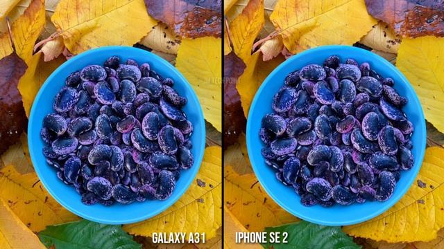 Samsung Galaxy A31 VS iPhone SE 2 Camera Comparison смотреть онлайн