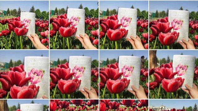 Что выиграла в #розыгрыш ?/ текущие #вышивальныепроцессы / #вышивкакрестом #вышивкабисером