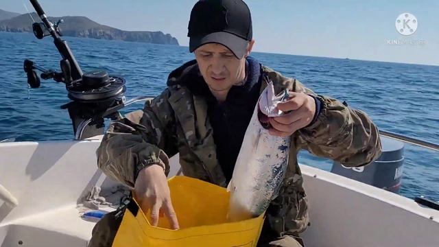 открытие сезона 2022. ловим симу и камбалу смотреть онлайн