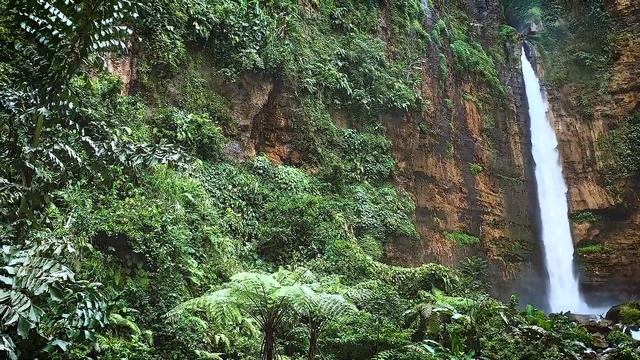 KAPAS BIRU WATERFALL HIKE | East Java, Indonesia смотреть онлайн