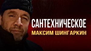 «Сантехническое». Автор — Максим Шингаркин.