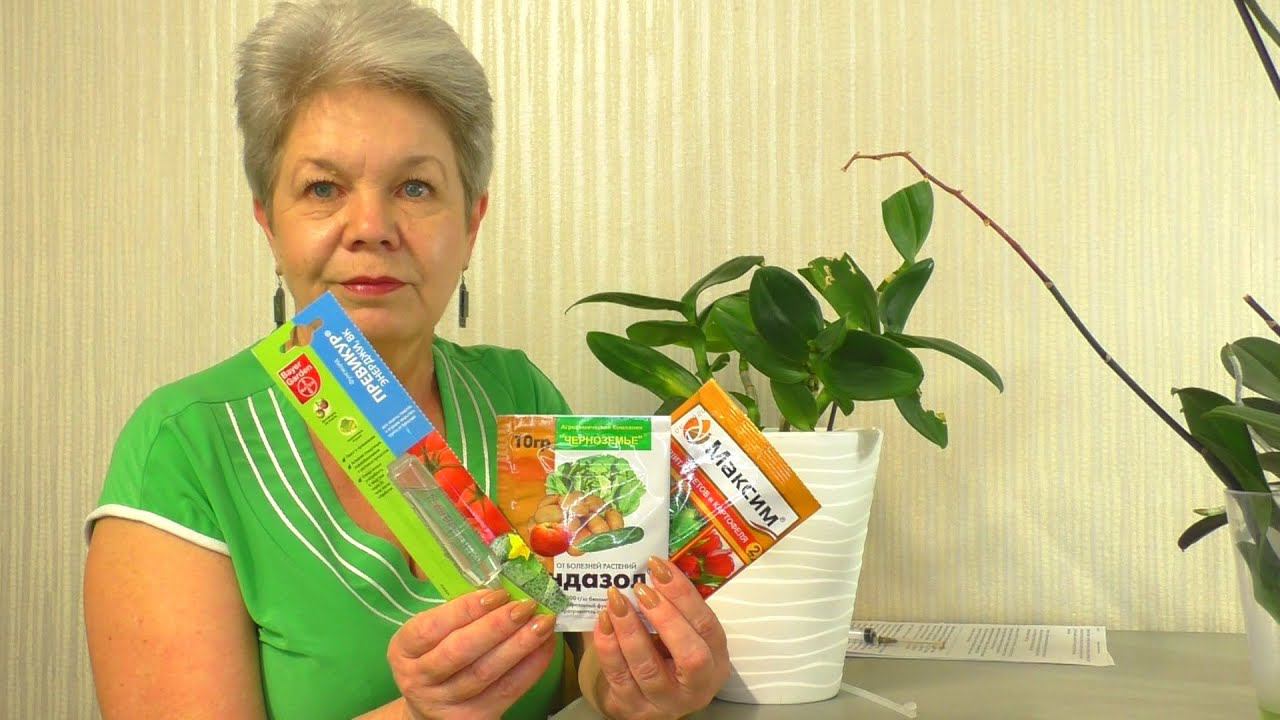 НАРАЩИВАЮ КОРНИ Орхидеи и ЛЕЧУ её, всего ТРЕМЯ Препаратами - Максим, Фундазол, Превикур Энерджи