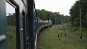 Белая горечь берез