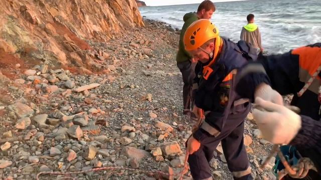 Геленджик 2019. с.Прасковеевка. Спасение людей со скалы. смотреть онлайн