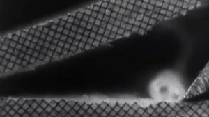 Резание древесины. (Видеохроники 1955 года). Кинолаборатория СПбГЛТА (ЛТУ)