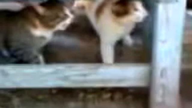 мать вступилась за своего сына смотреть онлайн