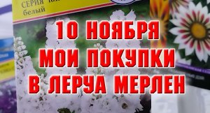 10 ноября. Мои покупки в Леруа Мерлен.mp4