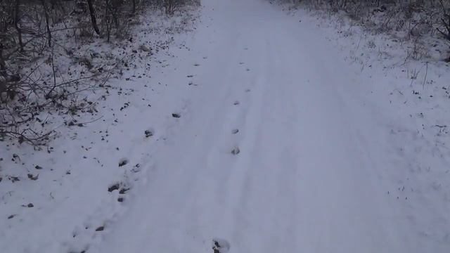 Прогулка к речке ДОН, по Лесу и на Гору ! часть # 1