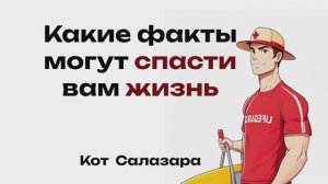 Эти факты спасут тебе жизнь